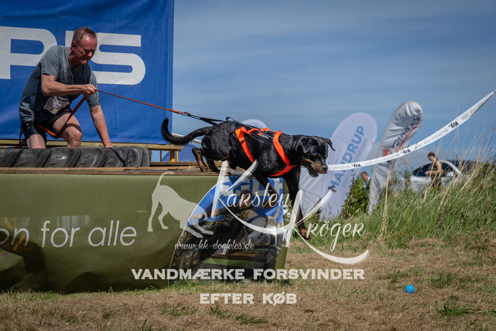 1357_ZZ99705 | kk-dogfotos