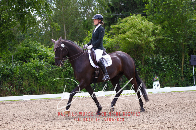DKP41247 | Turnierfotos kaufen im Webshop von Daniel Kuhl Photography – entdecke professionelle Reitsportfotos aus Turnieren & Events. Hochwertige Turnierbilder online bestellen & sichern. Jetzt Fotos von Reitsportturnieren kaufen!