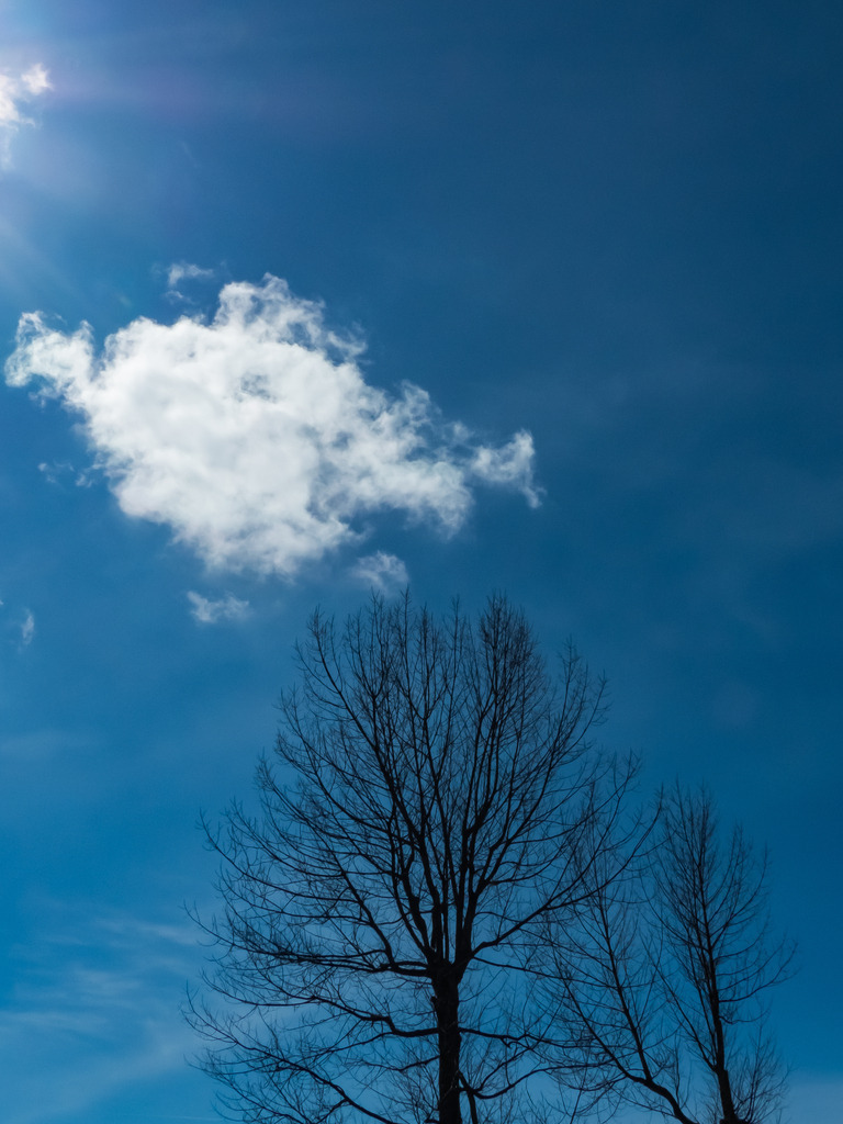 PSX_20230328_224214 | mtkfoto_ - Realisiert mit Pictrs.com