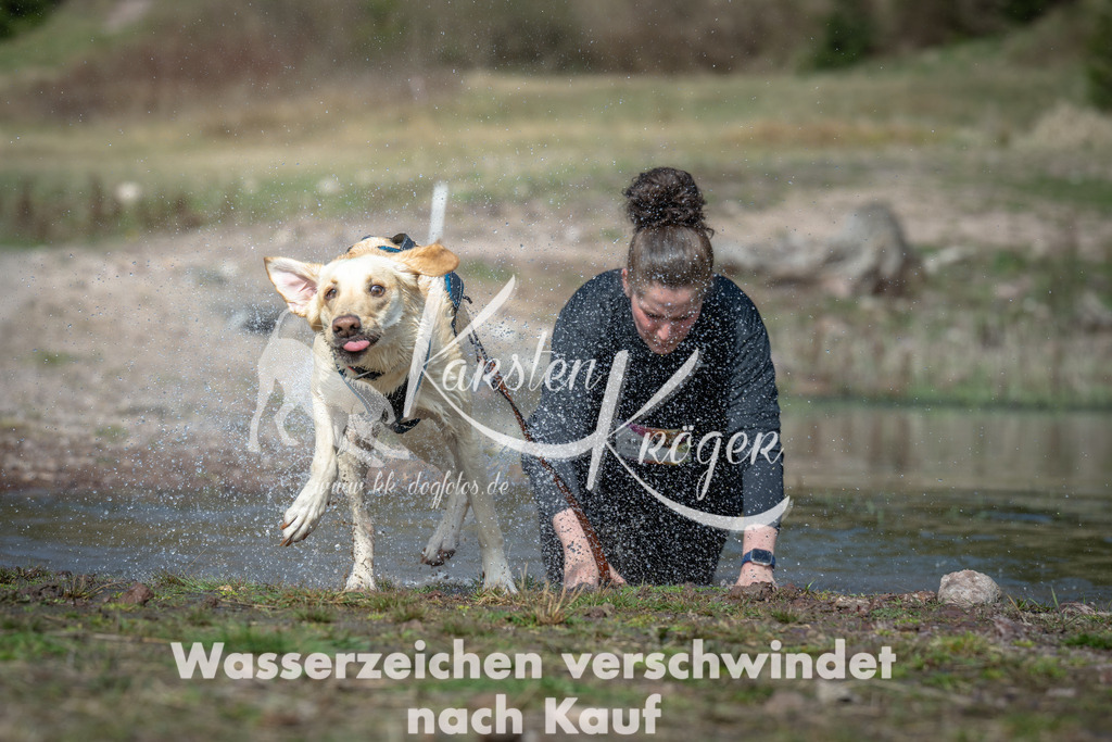 1103_ZZ92847 | kk-dogfotos