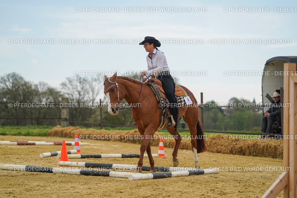 DSC02564 | Pferdegrafie