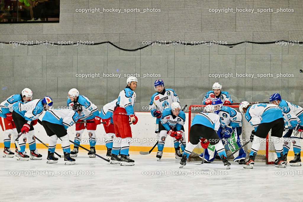 Sunshine Hockey League Spieltag 4. | Lendhafen Seelöwen Mannschaft, Sunshine Hockey League Spieltag 4., Sunshine Hockey League Spieltag 4. am 27.06.2025 in Ferlach (Eishalle Ferlach ), Austria, (Photo by Bernd Stefan)