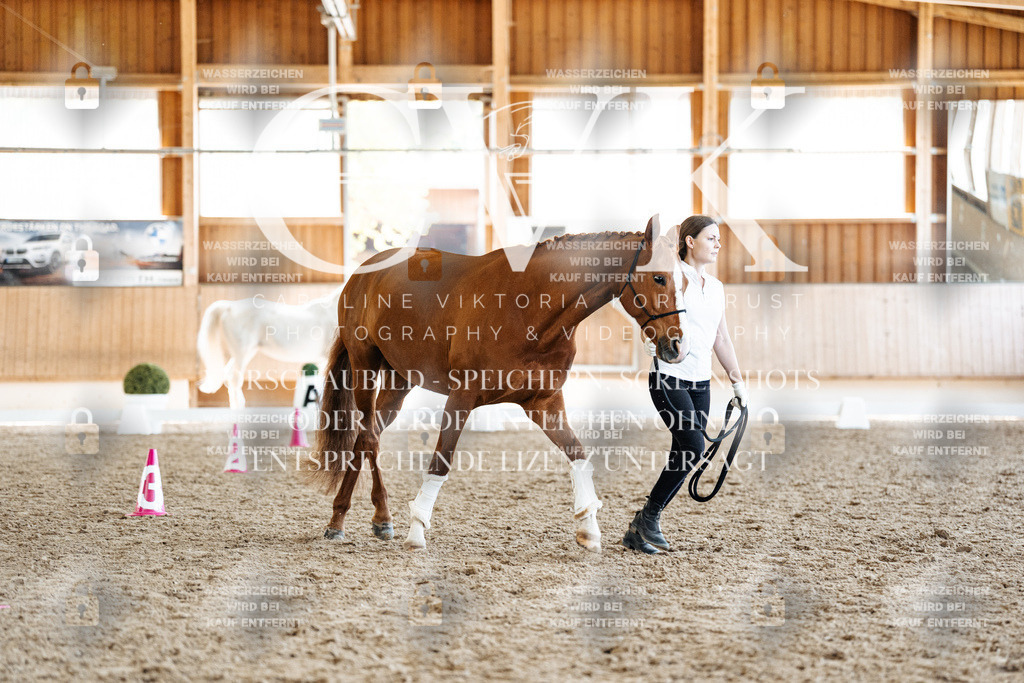 CK907617 | Turnierfotografie Pferdefotografie Trier Rheinland-Pfalz Pferdesport Reitsport Tierfotografie Sportfotografie Pferdevideo Pferdevideografie Equestrianvideography equestrianphotography  - Realisiert mit Pictrs.com
