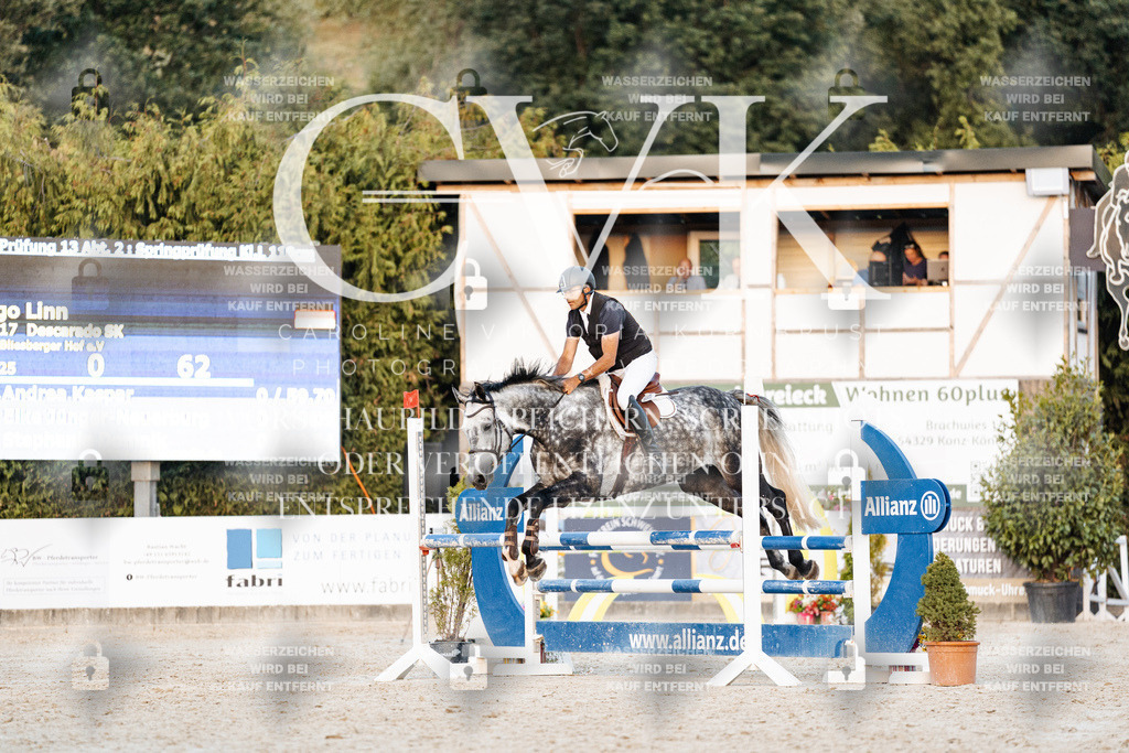 CK901379 | Turnierfotografie Pferdefotografie Trier Rheinland-Pfalz Pferdesport Reitsport Tierfotografie Sportfotografie Pferdevideo Pferdevideografie Equestrianvideography equestrianphotography  - Realisiert mit Pictrs.com