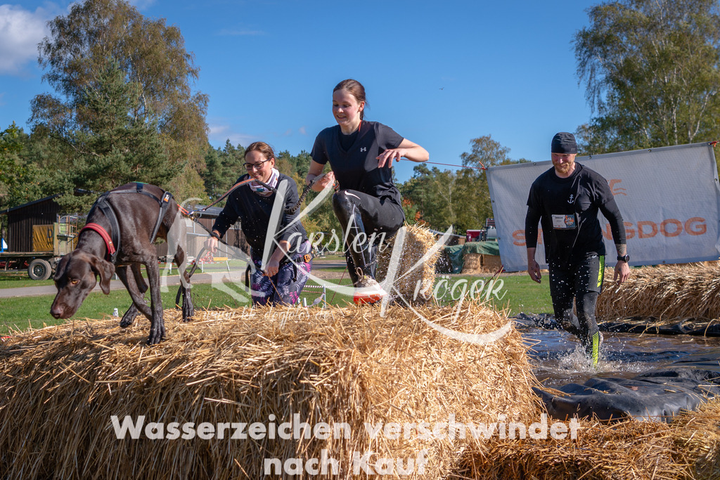 1205STR_2698 | kk-dogfotos