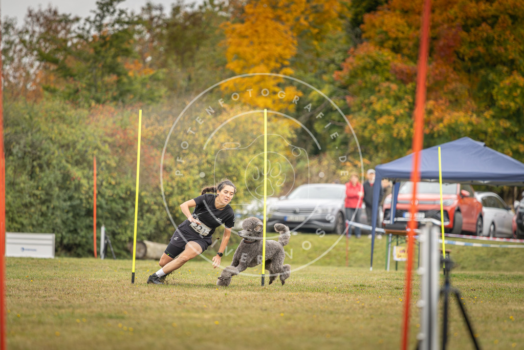 Pfotenfotografie_DV3A3725 | Hundefotografie, Tierfotograf, Pfotenfotografie, Fotoshooting Hund, Hunde Portrait, Hundesport, Hundeportraits, Heideshooting, Hunde, Sportfotograf, Hundefotograf, Turnierhundsport, THS,  - Realisiert mit Pictrs.com