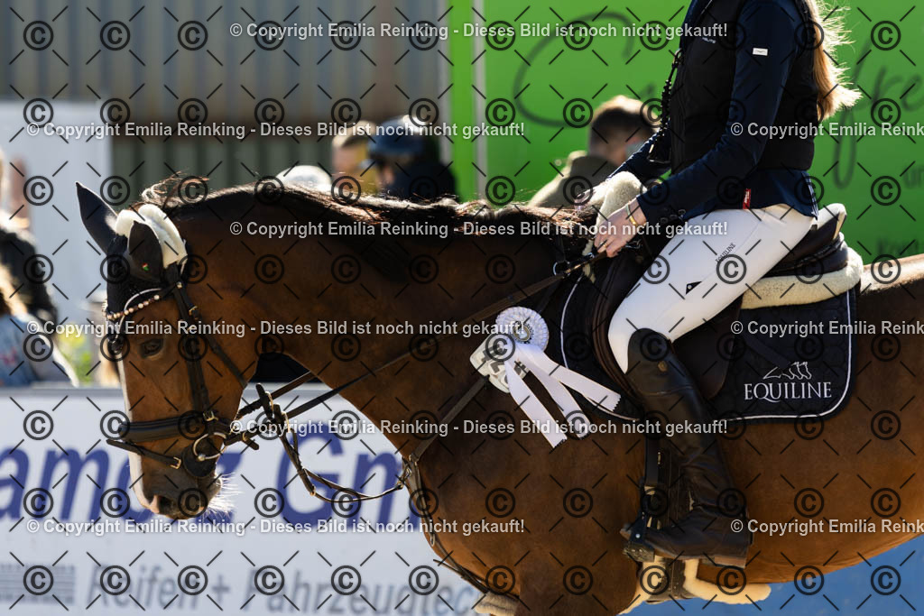 CL5A1403 | Emilia Reinking Fotografie - Realisiert mit Pictrs.com