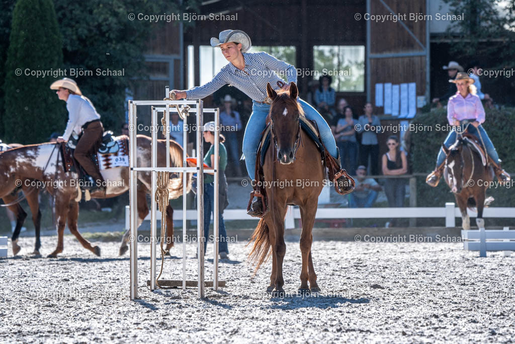 HOB09546 | BS-foto