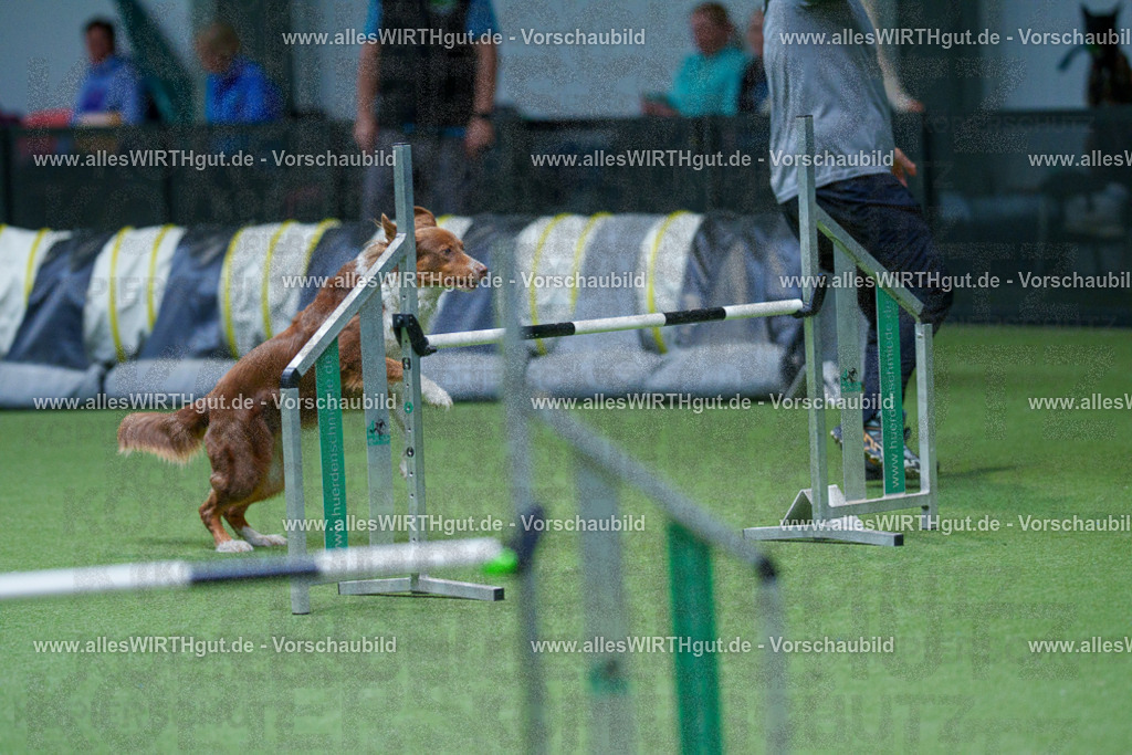@allesWIRTHgut_Tierfotografie - www.allesWIRTHgut.de - 2604251058-7R500698 | Professionelle Tierfotografie in Mönchengladbach von Daniel Wirth (allesWIRTHgut). Liebevolle & natürliche Bilder von Hunden & Katzen für unvergessliche Erinnerungen.