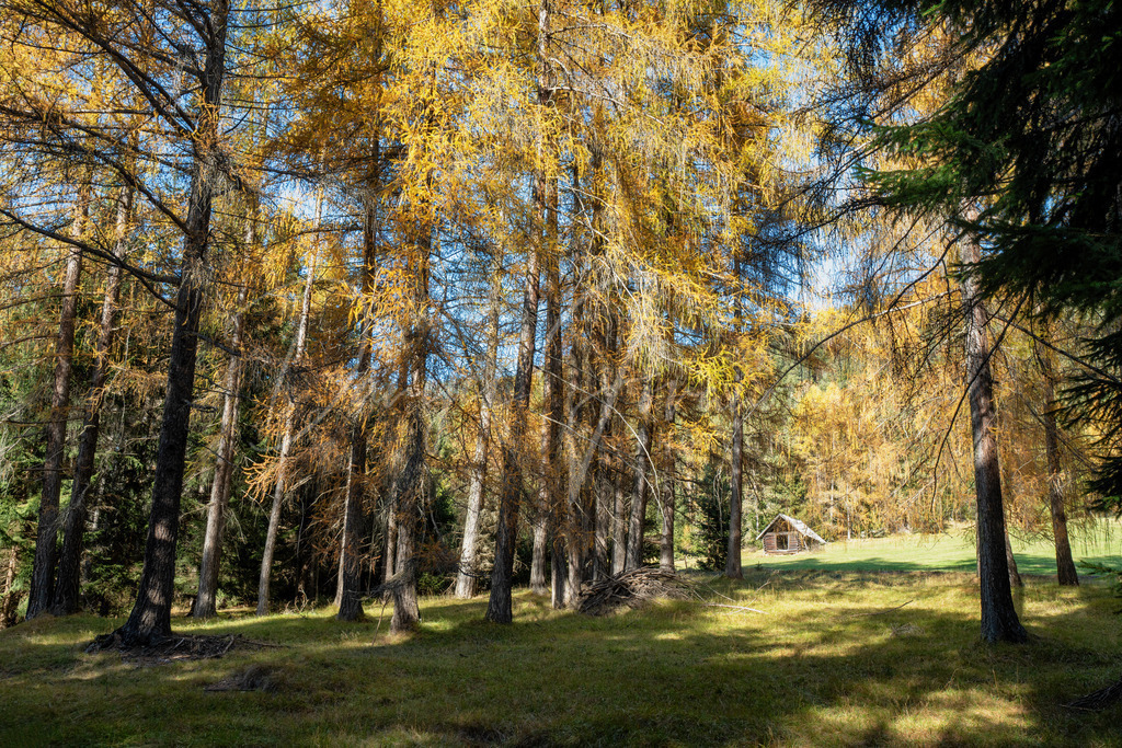 Mieming | Herbst am Mieminger Plateau