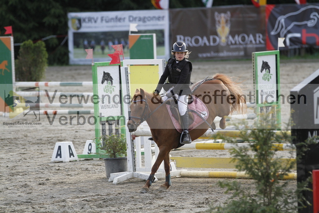 _MG_6398 | equestrian-live-com