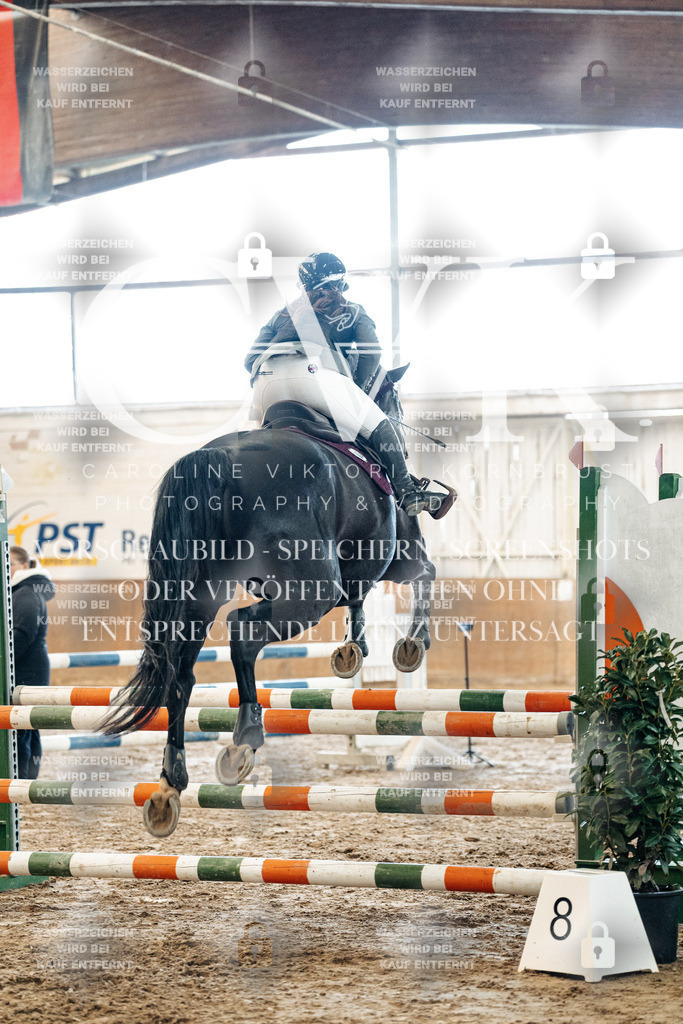 CK904712 | Turnierfotografie Pferdefotografie Trier Rheinland-Pfalz Pferdesport Reitsport Tierfotografie Sportfotografie Pferdevideo Pferdevideografie Equestrianvideography equestrianphotography  - Realized with Pictrs.com