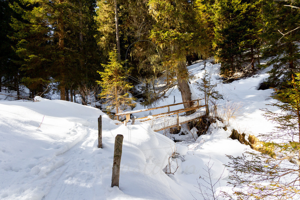 Winter entlang des Plareitbaches | Ihre Fotografin im Lungau, ihre Fotografin im Mostviertel, Wandbilder Onlineshop, Imagefotos für Ihr Unternehmen,  - Realisiert mit Pictrs.com