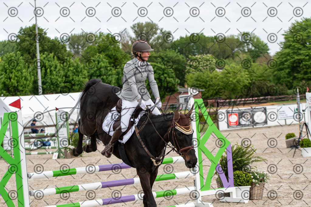 KPT_7819 | andre_photographic