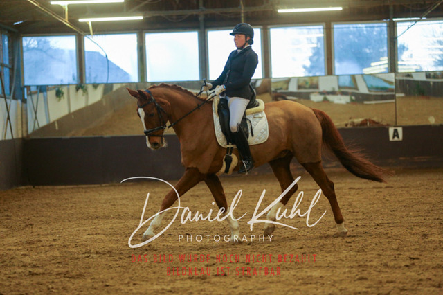 IMG_7089 | Turniersportfotografie; Pferdefotografie; Dressurfotografie