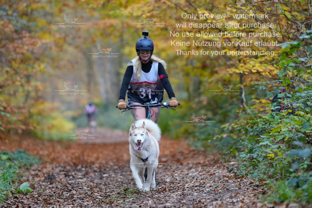 Scooter_So-96 | stephaniefillaphotographie - Realisiert mit Pictrs.com