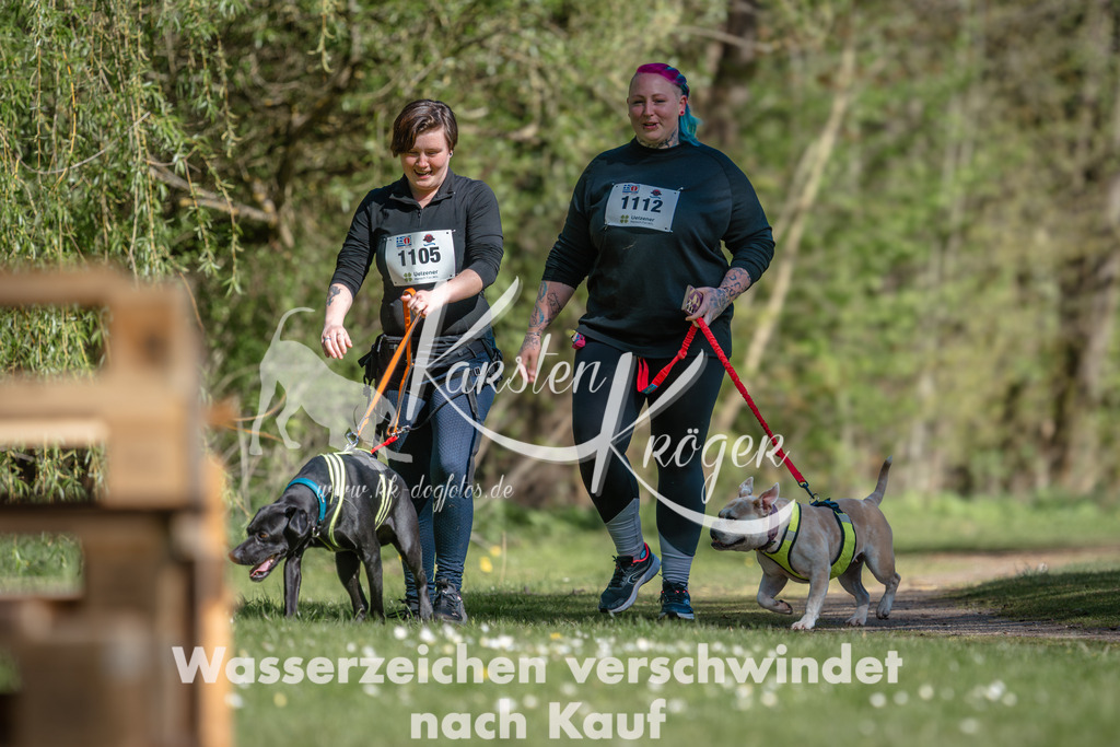 1026DZ6_3913 | kk-dogfotos