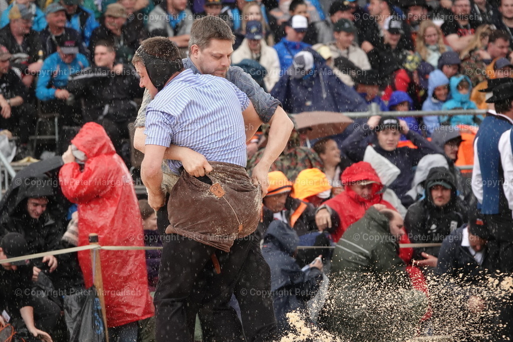 DSC03890 | Schwingen - Realisiert mit Pictrs.com