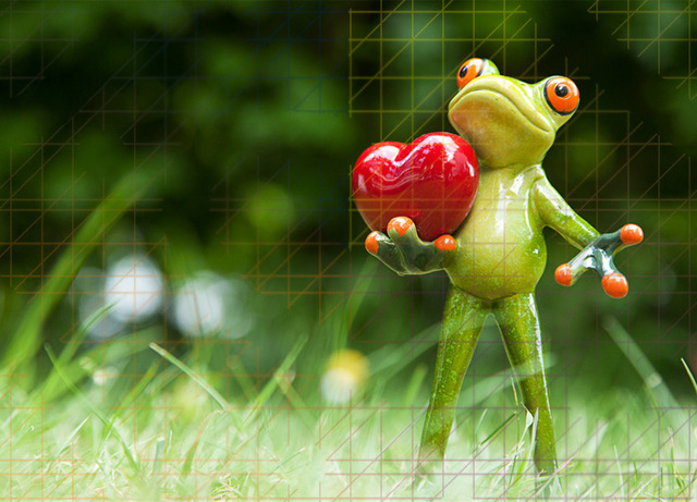 Frosch-mit-Herz-web | Schöne Postkarten, Kalender und Fotogeschenke für verschiedene Anlässe online kaufen – Urlaubskarten, Geburtstagskarten, Karten, Polaroids und Geschenke zu Weihnachten, Ostern, Muttertag, Valentinstag oder zur Hochzeit - Realisiert mit Pictrs.com