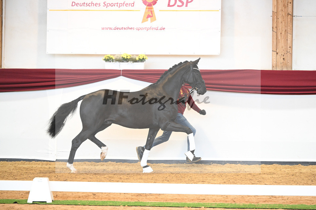 Kat-Nr. 51 v. Toto jr._Winklmaier_66220876 | hf-fotografie - Realisiert mit Pictrs.com