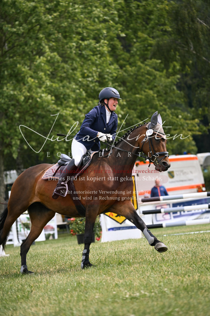 DSC_9138 | Pferde- und Turnierfotografie in Westsachsen. Pferdeportraits, Auftragszeichnungen und intuitive Kunst.