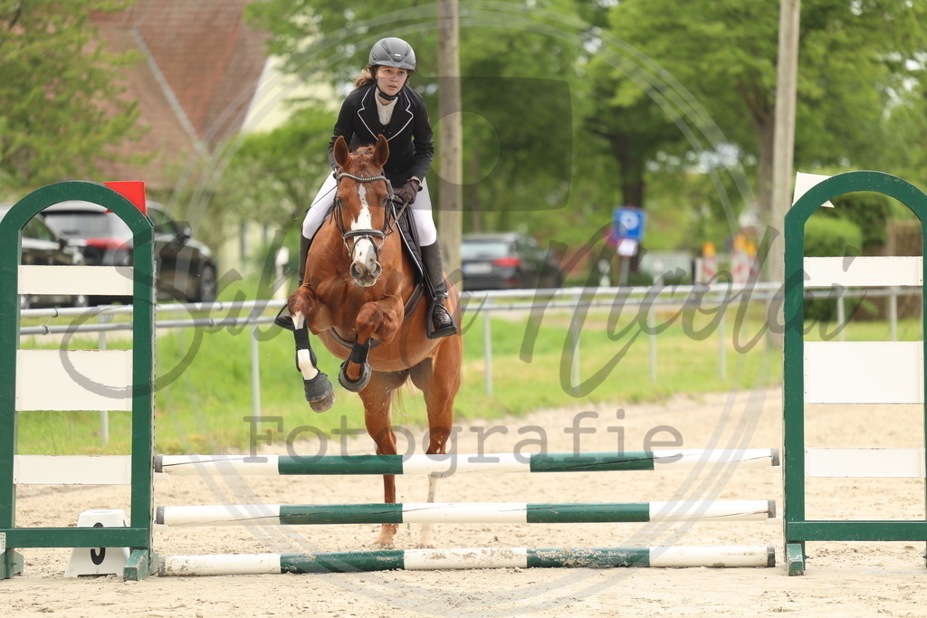 994A8685 | sabrinanicolaifotografie - Realisiert mit Pictrs.com