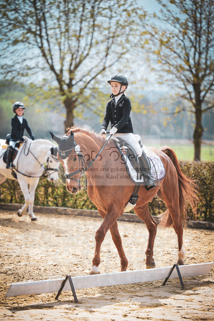 DOS_6122 | Entdecke hochwertige Reitturnierfotos von Foto Oger. Professionell, emotional und authentisch – jetzt Lieblingsmomente im Shop bestellen.Deutschlandweite Turnierfotografie. - Realisiert mit Pictrs.com