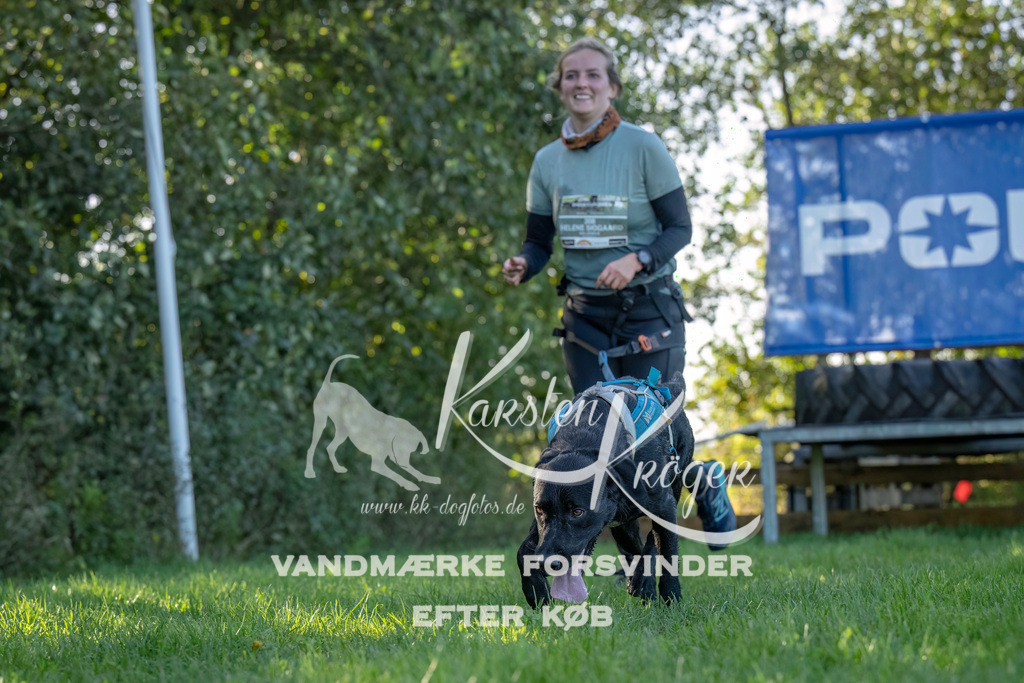 1029--7 | kk-dogfotos