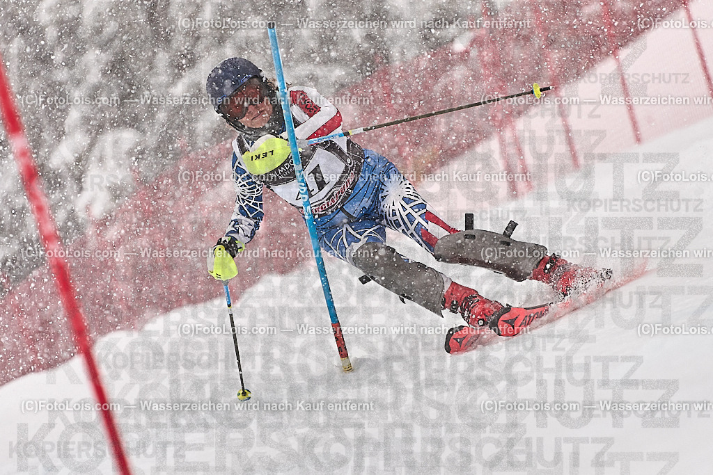_ALP8519_MASTERS-WM_Reiteralm_CD_SL-I_STAUDINGER Sabine | FISWORLD CHAMPIONSHIPSMASTERS ALPINE SKIING, 23. – 28. MÄRZ 2026 - REITERALM | STMK | AUT.   Veranstaltet vom Masters-Referat des Deutschen Skiverbandes (DSV). Durchführende Organisation: WSV Pichl-Reiteralm, unterstütutzt von den Bergbahnen REITERALM bei Schladming und SKI AUSTRIA.                            Disziplinen:  Super-G, GiantSlalom, Slalom.                                                 Kategorien:  A (Herrn 30-59 Jahre), B (Herrn ab 60 Jahre), C (Damen 30-59 Jahre), D (Damen ab 60 Jahre).                Rennstrecken:   Gasselhöhe und Muldenliftpiste auf der Reiteralm.