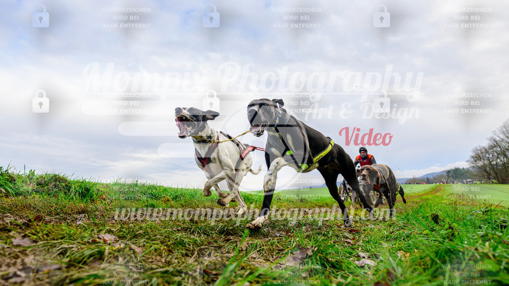 MompixPhotography_Staufertrail2024_SO_Kart-18 | PayLife