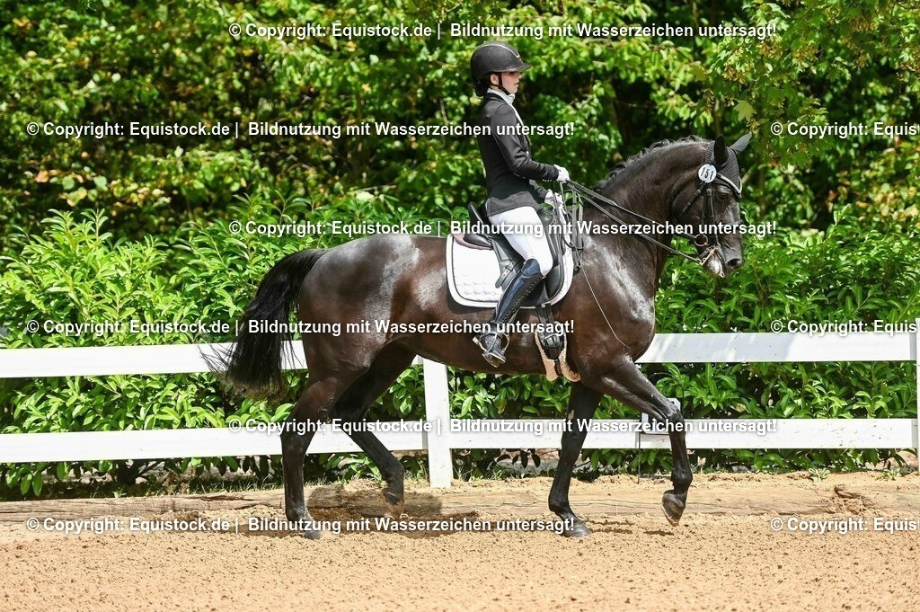 20230716_01_Dressurprüfung Kl.M_0007 | equistock