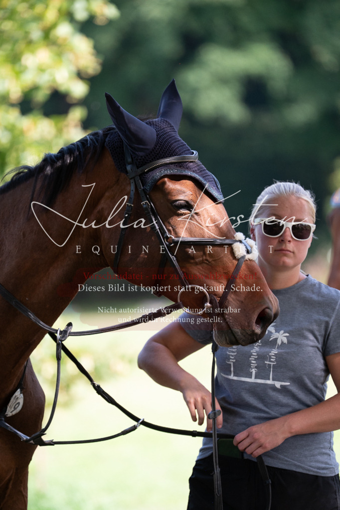 DSC_0937 | Pferde- und Turnierfotografie in Westsachsen. Pferdeportraits, Auftragszeichnungen und intuitive Kunst.