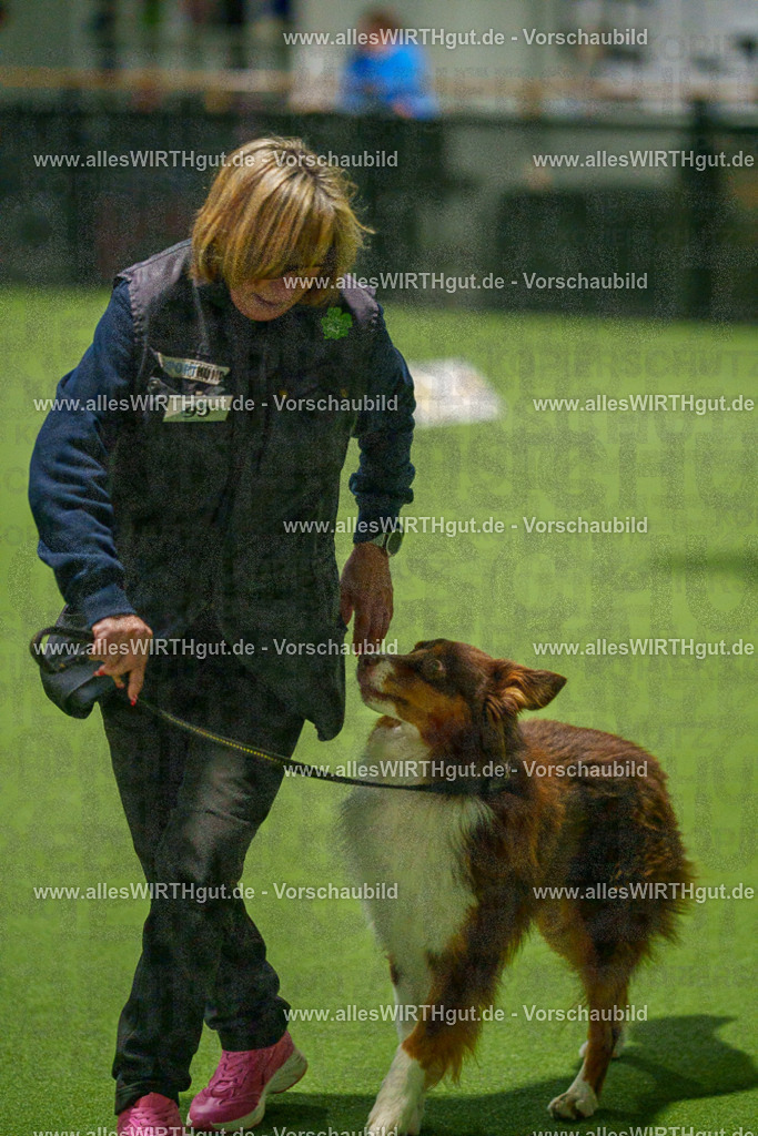 7R508713 | Professionelle Tierfotografie in Mönchengladbach von Daniel Wirth (allesWIRTHgut). Liebevolle & natürliche Bilder von Hunden & Katzen für unvergessliche Erinnerungen.