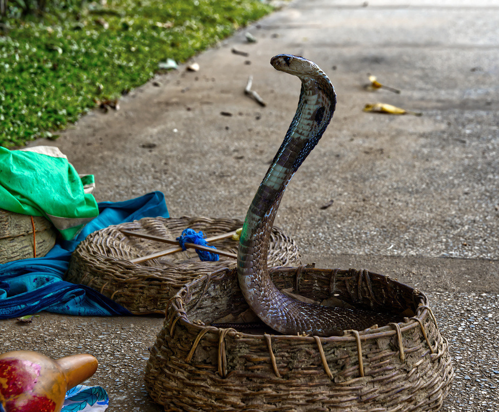 1H5A1118 | ansichtssache