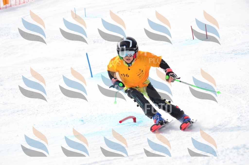 C8212 | holidayphoto