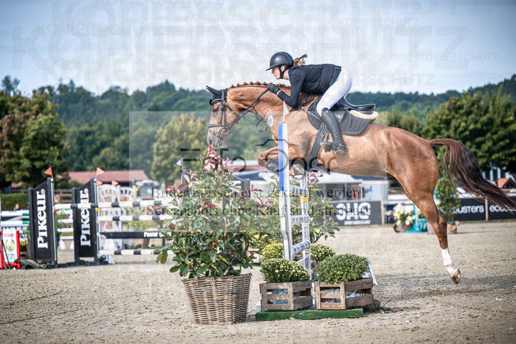 DOS_6038 | Entdecke hochwertige Reitturnierfotos von Foto Oger. Professionell, emotional und authentisch – jetzt Lieblingsmomente im Shop bestellen.Deutschlandweite Turnierfotografie. - Realisiert mit Pictrs.com