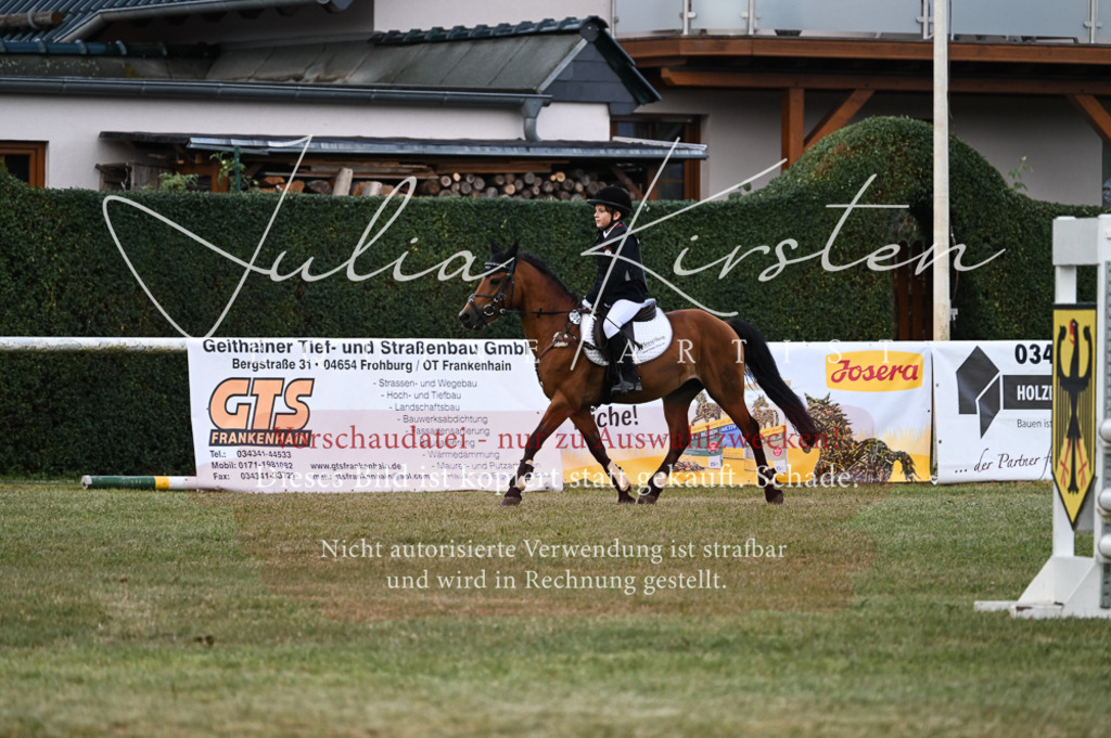 DSC_5540 | Pferde- und Turnierfotografie in Westsachsen. Pferdeportraits, Auftragszeichnungen und intuitive Kunst.
