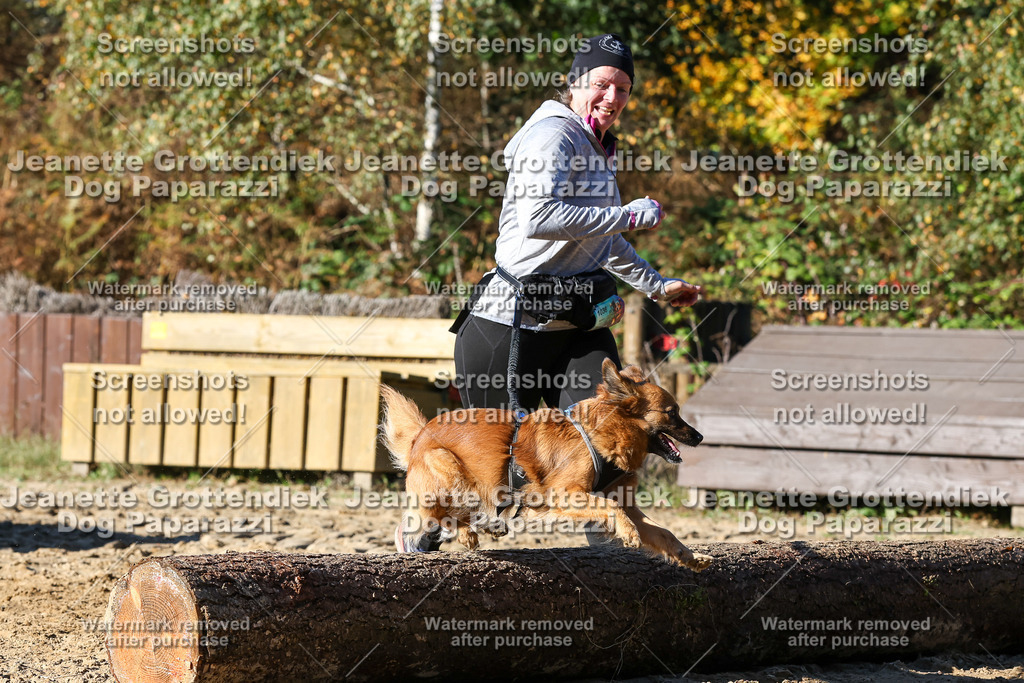 Dog Paparazzi - Strongdog 10-25-2281 | Dog Paparazzi Jeanette Grottendiek Fotografie & Videografie - Realisiert mit Pictrs.com