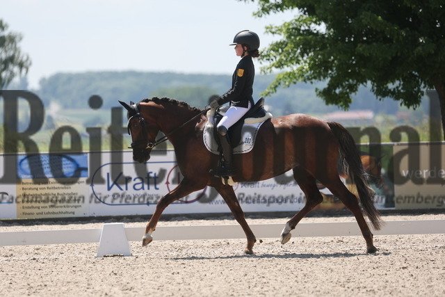 Rot am See_2024_Prfg.Nr.21_Qual.BCH_und_LCH_5-jähr.Ponys_Matilda Buchbach_Dundees Quadriga (13) | Alle Fotos der Reiterjournal Fotografin Doris Matthaes im Reiterjournal Online-Fotoshop. - Realisiert mit Pictrs.com
