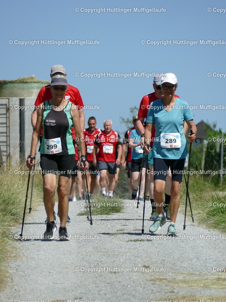 P1110464 | Hüttlinger Muffigelläufe - Realisiert mit Pictrs.com