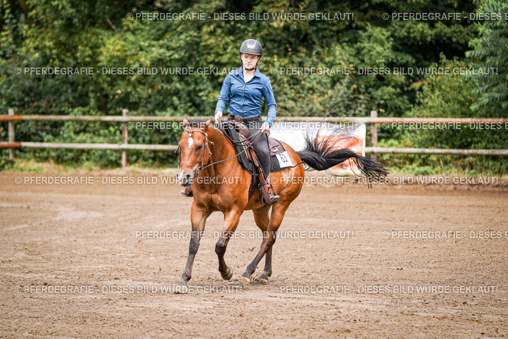 DSC05705 | Pferdegrafie