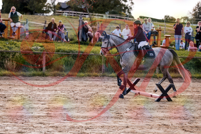 2026_10_03_Siefer-Hof_145110_Z81_29665043 | Professionelle Reitsport-, Turnier- und Eventfotografie von Robert Broda. Galerien mit ausgewählten und bearbeiteten Bildern direkt online ansehen und bestellen.