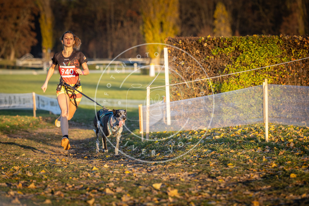 CaniXpix_DV3A5370 | Hundefotografie, Tierfotograf, Pfotenfotografie, Fotoshooting Hund, Hunde Portrait, Hundesport, Hundeportraits, Heideshooting, Hunde, Sportfotograf, Hundefotograf, Turnierhundsport, THS,  - Realisiert mit Pictrs.com