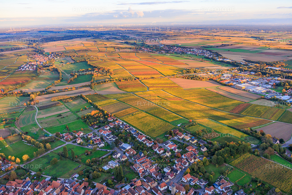 Luftbild: herbstlich gerfärbte Weinberge zwischen Niederhorbach und Kapellen-Drusweiler in Niederhorbach im Bundesland Rheinland-Pfalz in Deutschland. – Foto: IMG_150377.jpg vom 15.10.2025 durch Werner Riehm/FLY-FOTO.de – Auflösung des Originals: 5917 x 3944 px