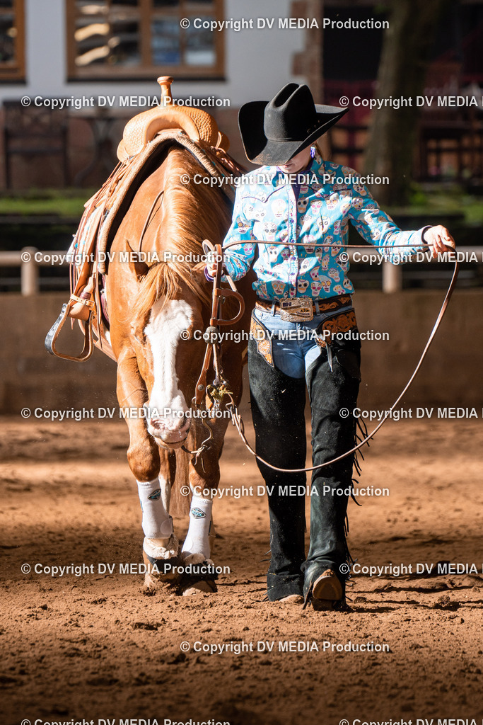 Erbach Tag 2-1017 | dv-media-shop - Realisiert mit Pictrs.com