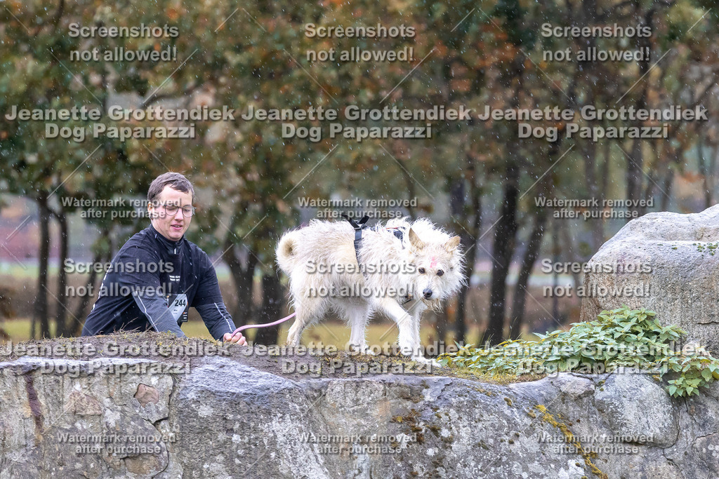 Dog Paparazzi - SD CaniX Championship 2025-717 | Dog Paparazzi Jeanette Grottendiek Fotografie & Videografie - Realisiert mit Pictrs.com