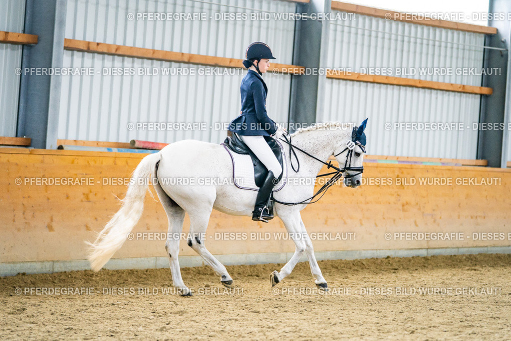 DSC04915 | Pferdegrafie