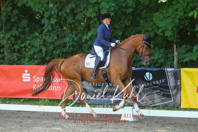 DKP42423 | Turniersportfotografie; Pferdefotografie; Dressurfotografie