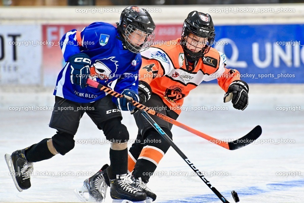 Dukes RINK Rumble Spittal a.d.Drau 9.-10.9.2023 | hockey sports photos, Pressefotos, Sportfotos, hockey247, win 2day icehockeyleague, Handball Austria, Floorball Austria, ÖVV, Kärntner Eishockeyverband, KEHV, KFV, Kärntner Fussballverband, Österreichischer Volleyballverband, Alps Hockey League, ÖFB, 