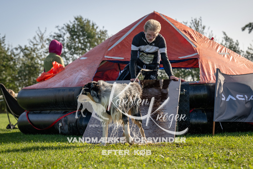 1057-91725 | kk-dogfotos